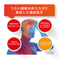 ルルアタックFXa 24錠 第一三共ヘルスケア  風邪薬 発熱 さむけ のどの痛み 鼻水【指定第2類医薬品】