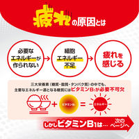 アリナミンA 270錠 アリナミン製薬　ビタミン剤 フルスルチアミン ビタミンB1 眼精疲労 筋肉痛・関節痛 便秘【第3類医薬品】