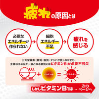 アリナミンEXプラス 270錠 アリナミン製薬 ビタミンB1 B6 B12 E　フルスルチアミン 眼精疲労 腰痛 肩こり【第3類医薬品】