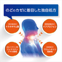 ルルアタックEX 24錠 第一三共ヘルスケア  風邪薬 のどの痛み 発熱 せき 鼻水【指定第2類医薬品】