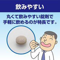 パンシロン01錠 45錠 ロート製薬　胃腸薬 食べすぎ 飲みすぎ 胸やけ 胃部不快感 胃痛 胃もたれ はきけ【第2類医薬品】