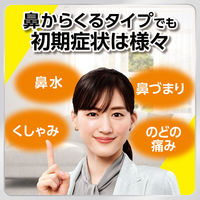 ベンザブロックS 30カプレット アリナミン製薬  風邪薬  鼻かぜ 鼻水 鼻づまり のどの痛み せき【指定第2類医薬品】