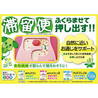 新ウィズワン 48包 ゼリア新薬工業　植物性便秘薬 便秘、便秘に伴う肌荒れ・吹き出・腹部膨満【指定第2類医薬品】