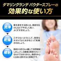 ダマリングランデパウダースプレー 90g 大正製薬 スプレータイプ ジュクジュクした水虫 たむしに【指定第2類医薬品】
