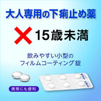 ピタリット 12錠 大正製薬　下痢止め薬 食べすぎ・飲みすぎによる下痢に 食あたり 水あたり【指定第2類医薬品】