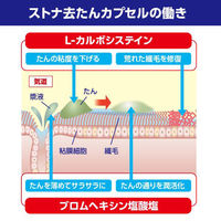 ストナ去たんカプセル 36カプセル 佐藤製薬　去痰薬 たん たんのからむせき L-カルボシステイン配合【第2類医薬品】