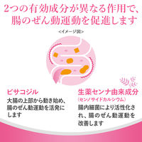 スルーラックS 240錠 エスエス製薬【指定第2類医薬品】