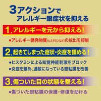 アイリスAGガード 10ml 大正製薬　目薬 アレルギー専用 花粉 ハウスダスト 目のかゆみ【第2類医薬品】