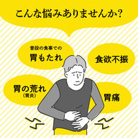 大正漢方胃腸薬 〈錠剤〉 100錠 大正製薬 胃のもたれ 胃部不快感 胃炎 胃痛【第2類医薬品】