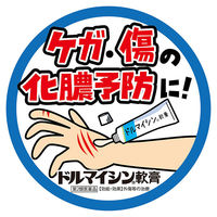ドルマイシン軟膏 6g ゼリア新薬工業　塗り薬 抗生物質配合 切り傷・やけどなどの化膿治療 とびひ【第2類医薬品】