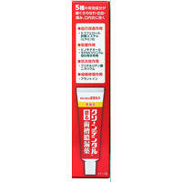 クリーンデンタルN塗る歯槽膿漏薬 16g 第一三共ヘルスケア　塗り薬 歯茎の腫れ・痛み・出血 歯肉炎【第3類医薬品】