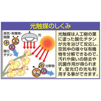 ファミリー・ライフ 人工観葉植物 2点セット（ベンジャミン&幸福の木） 幅700×奥行200×高さ1400mm（直送品）