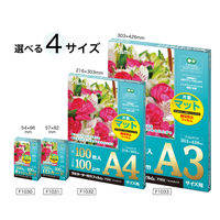 アスカ ラミネートフィルム マット A4 100μ F1032 100枚 1冊