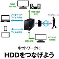 NAS（ネットワークハードディスク）2TB 2ドライブ リンクステーション HDD LS220D0202G 1台 バッファロー（直送品）