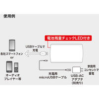 サンワサプライ モバイルバッテリー(2500mAh) BTL-RDC11WN 1個（直送品）
