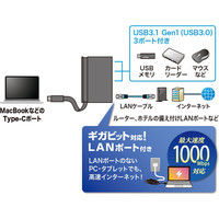 サンワサプライ LANアダプタ付きUSB Type-Cハブ USB-3TCH10BK 1個（直送品）