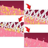 SHIKIEN 舌みがきスムーザー W-1 PREMIUM 1本