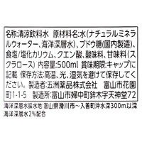 アスクル限定 五洲薬品 はたらくひとの水分補給 500ml１ケース（24本入り） オリジナル