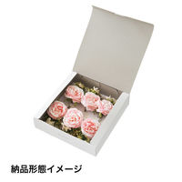 ヘッズフルリールアレンジメント/ショコラピンクー2 1セット（12個：6個×2パック）