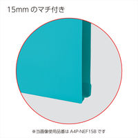 コクヨ 個別フォルダNEOS PP幅15D A4P-NEF15 1パック（10冊入）