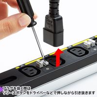 サンワサプライ 19インチサーバーラック用コンセント 200V（30A） 抜け防止ロック機能付き TAP-SV2308LK 1個（直送品）