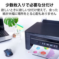エレコム レーザー専用紙 ノーカット マット ホワイト A4 ELK-TFM10 1個（10枚入）（直送品）