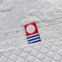 大同 葛 ITSTS50 BT1P&FT1P 逸織タオル IT-645292（直送品）