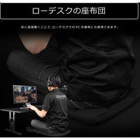 【車上渡し】 Bauhutte ゲーミング座布団 ブラック 幅410×奥行450×厚み60mm BC-100G-BK 1セット（10個入り）（直送品）