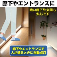 朝日電器 LED多目的灯 明暗人感 ALT-2030PIR(L) 1個