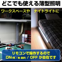朝日電器 LED多目的灯 リモコン ALT-2030RE(D) 1個