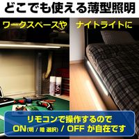 朝日電器 LED多目的灯 リモコン ALT-2060RE(L) 1個