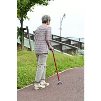 角利産業 ライト付 折りたたみステッキ 3点杖 レッド 4694（直送品）