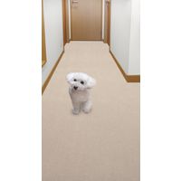 サンコー おくだけ吸着ロングマット90×200cm ベージュ KP-45 1枚