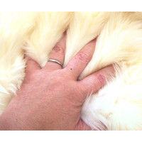 萩原 ムートンフリース SX-1009 幅600×奥行900mm ホワイト 240609307 1枚（直送品）