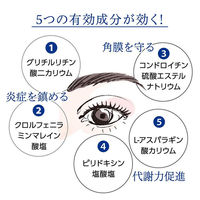 スマイルホワイティエコンタクト 15mL ライオン 限定 目薬 コンタクト対応 疲れ目 充血 限定【第3類医薬品】