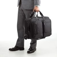 サンワダイレクト ビジネスキャリーバッグ（機内持ち込みサイズ・マチ拡張対応） 200-BAGCR002 1個（直送品）