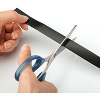 サンワダイレクト ケーブルタイ（面ファスナー・ブラック・9m） 200-CA001BK 1個（直送品）