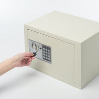 サンワダイレクト 電子金庫（マイナンバー・セキュリティ-対策・家庭用・テンキー・鍵式・壁掛け対応・中棚付き・21リットル） 200-SL044 1個（直送品）