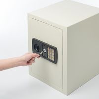 サンワダイレクト 電子金庫（マイナンバー・セキュリティ-対策・家庭用・テンキー・鍵式・壁掛け対応・中棚付き・43リットル） 200-SL045 1個（直送品）