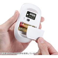 サンワダイレクト ワイヤレスマウス 400-MA093BK 1個（直送品）