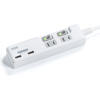 サンワダイレクト 電源タップ（USB充電ポート付・最大3.1Aまで・1500W・2m・2個口・個別スイッチ付） 700-TAP029 1個（直送品）