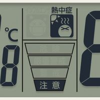 リズム インフォームナビEXシチズン液晶表示付木枠電波時計温湿度計 カレンダー 幅361×奥行60×高さ361mm 茶 4FY620-006 1個（直送品）