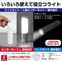 朝日電器 LEDセンサー付きライト PM-L256 1個