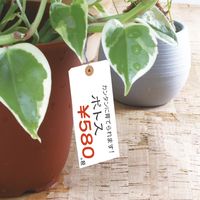 ササガワ ユポ荷札 大 25-1230 1箱(1000枚入)