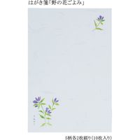 あかしや はがき箋「野の花ごよみ」 AO-04L 1セット(5セット)（直送品）