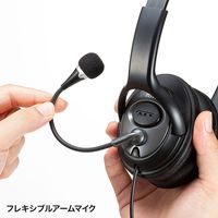 サンワサプライ マルチメディアPCヘッドセット MM-HS516 1個