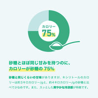 ロッテ キシリトールガム ブラックミント ファミリーボトル 6個