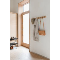 アントレックス フリップフック (5) ナチュラル 2318850390 1個