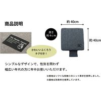 イケヒコ 車用クッション カークッション 『ルース 低反発マチ付』 幅400×奥行400×高さ40mm グレー  1枚（直送品）