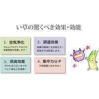 イケヒコ 純国産 い草 上敷き カーペット 市松織 熊本県八代産イ草使用 『不知火』 団地間10畳 幅3400×奥行4250mm  1枚（直送品）